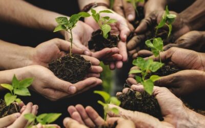 Agricoltura sociale: aiuto all’avviamento di imprese per giovani agricoltori Pacchetto Giovanisì