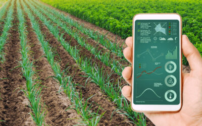 L’AGRIBUSINESS VOLA GRAZIE AL DIGITALE: il Made in Tuscany sulla vetta del mondo