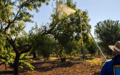 Autunno, tempo di raccolta: al via il CORSO di AGGIORNAMENTO per UTILIZZATORI DI PRODOTTI FITOSANITARI