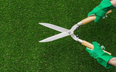 IL MANUTENTORE DEL VERDE: COSA FA E QUALI SONO GLI SBOCCHI LAVORATIVI?