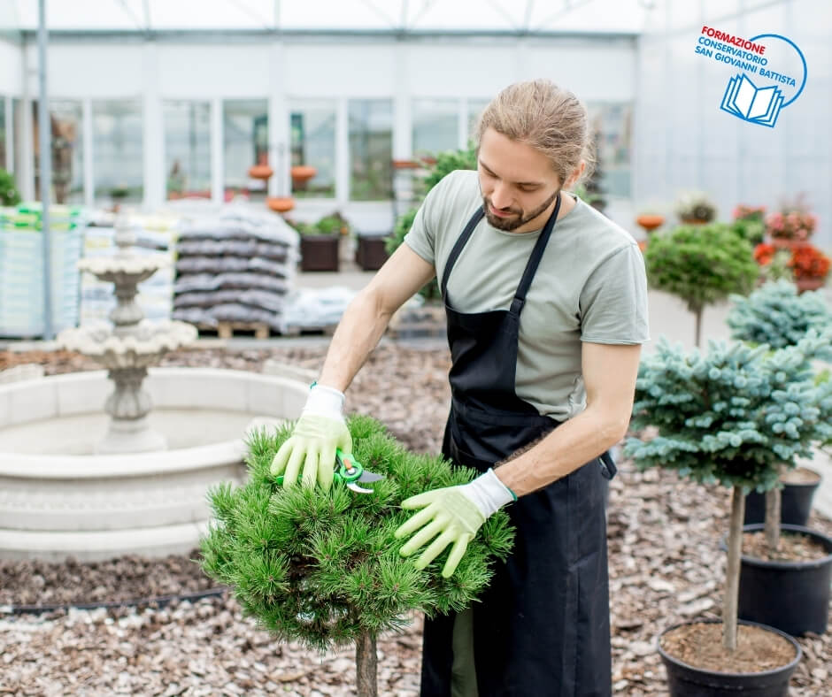 I REQUISITI PER SVOLGERE LA PROFESSIONE DI MANUTENTORE DEL VERDE Chi intenda avviare l’attività di manutentore del verde e non sia in possesso di titoli di studio o qualifica nell’ambito delle discipline agrarie, ambientali, forestali, e naturalistiche, deve partecipare a un corso di formazione della durata complessiva di 180 ore, articolato in moduli di insegnamento per 120 ore di formazione teorica e 60 ore di attività pratiche relativamente alle tecniche di potatura, concimazione, diserbo e difesa, utilizzo di macchine e di attrezzature agricole. Il corso ha l’obiettivo di formare il personale addetto alla manutenzione del verde e di acquisire l’attestato di idoneità professionale (qualifica) indispensabile per l’iscrizione al registro delle imprese della C.C.I.A.A. La qualificazione all’attività di Manutentore del Verde sarà rilasciata al superamento di un esame volto a verificare l’acquisizione delle adeguate competenze tecnico professionali previste dal corso. Tutti gli amanti del pollice verde pertanto non potranno più improvvisarsi giardinieri: per poter lavorare in regola, occorrerà dimostrare di possedere una formazione adeguata ed esperienza nel campo, oppure, frequentare e conseguire con successo il corso di qualifica professionale.